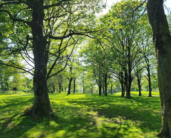 Buile Hill Park garden view