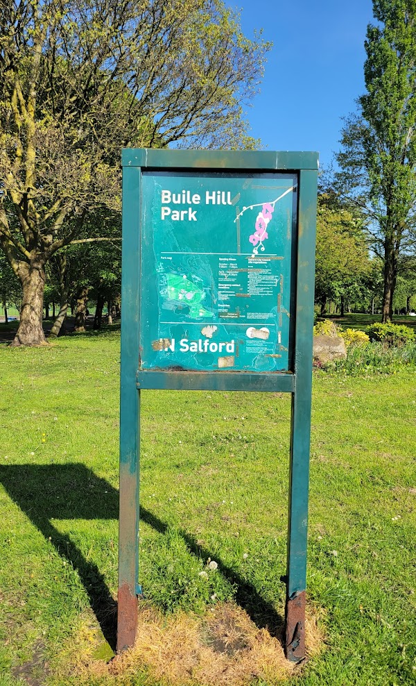 Playground in Buile Hill Park