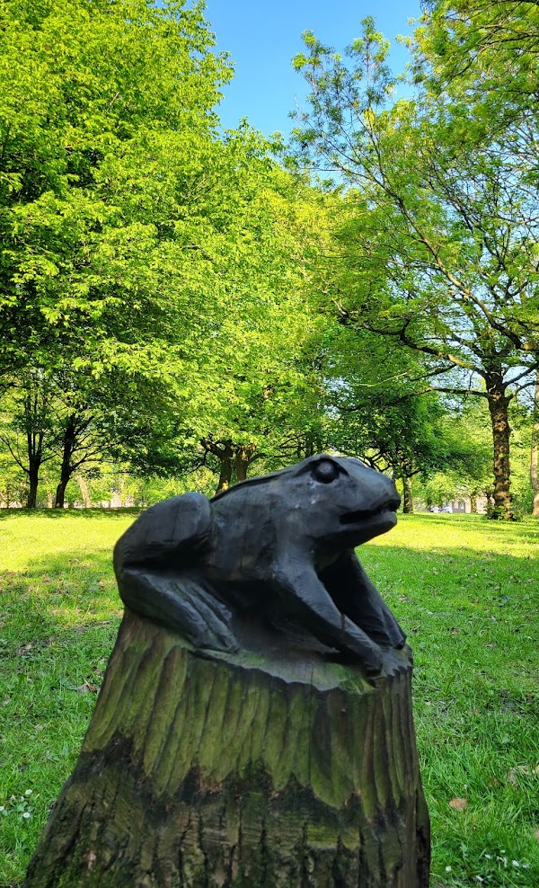 Walking trails in Buile Hill Park