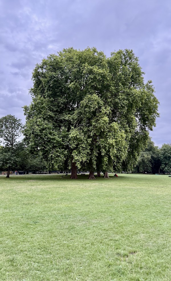 ravenscourt-park-uk4